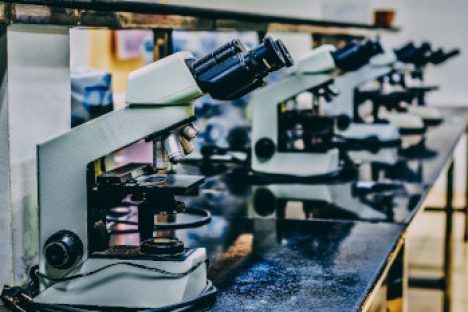 Eine Reihe von Mikroskopen